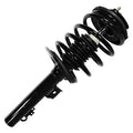 SHOCKS & STRUTS