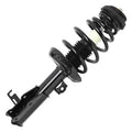 SHOCKS & STRUTS