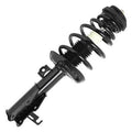 SHOCKS & STRUTS