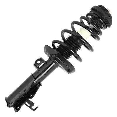 SHOCKS & STRUTS