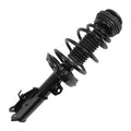 SHOCKS & STRUTS