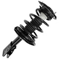 SHOCKS & STRUTS