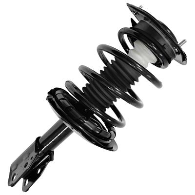 SHOCKS & STRUTS