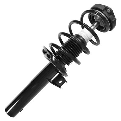 SHOCKS & STRUTS