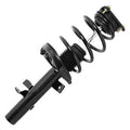 SHOCKS & STRUTS