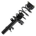 SHOCKS & STRUTS