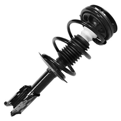 SHOCKS & STRUTS
