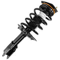 SHOCKS & STRUTS