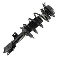 SHOCKS & STRUTS