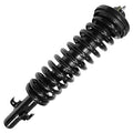 SHOCKS & STRUTS