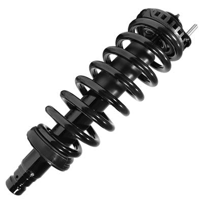 SHOCKS & STRUTS