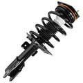 SHOCKS & STRUTS