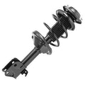 SHOCKS & STRUTS