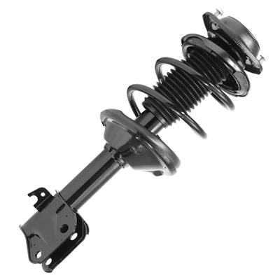 SHOCKS & STRUTS