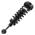 SHOCKS & STRUTS