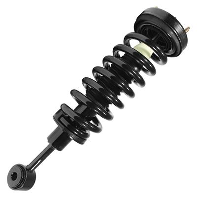 SHOCKS & STRUTS
