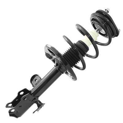 SHOCKS & STRUTS
