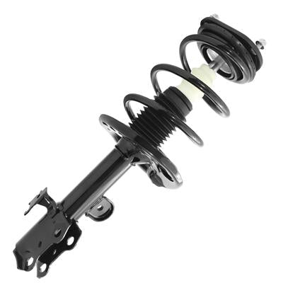 SHOCKS & STRUTS