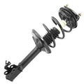 SHOCKS & STRUTS