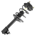 SHOCKS & STRUTS