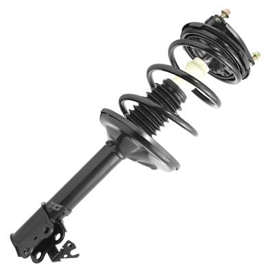 SHOCKS & STRUTS