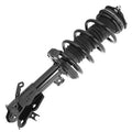 SHOCKS & STRUTS
