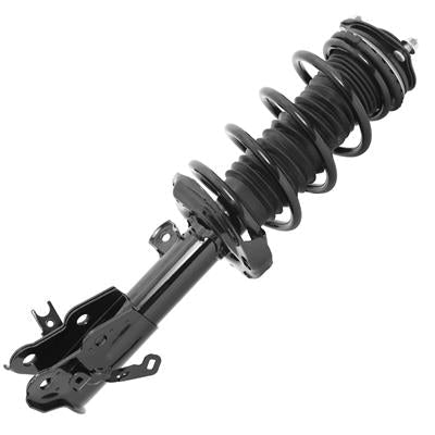 SHOCKS & STRUTS