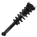SHOCKS & STRUTS