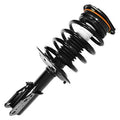 SHOCKS & STRUTS