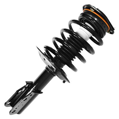 SHOCKS & STRUTS