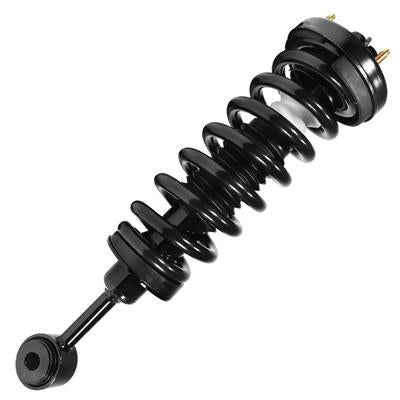 SHOCKS & STRUTS