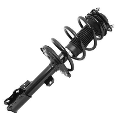 SHOCKS & STRUTS