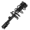 SHOCKS & STRUTS