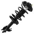 SHOCKS & STRUTS
