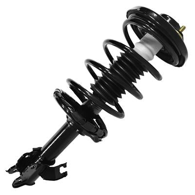 SHOCKS & STRUTS
