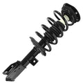 SHOCKS & STRUTS