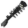 SHOCKS & STRUTS