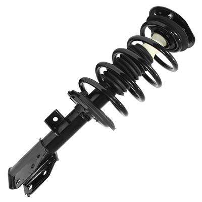 SHOCKS & STRUTS