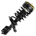 SHOCKS & STRUTS