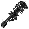 SHOCKS & STRUTS