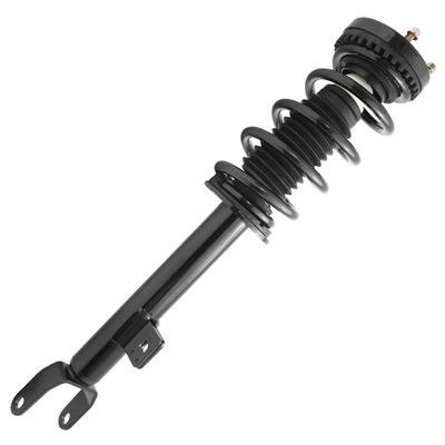 SHOCKS & STRUTS