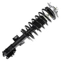 SHOCKS & STRUTS