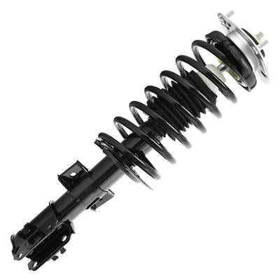 SHOCKS & STRUTS