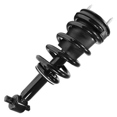 SHOCKS & STRUTS