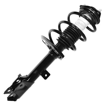 SHOCKS & STRUTS