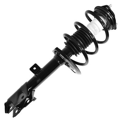 SHOCKS & STRUTS