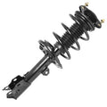 SHOCKS & STRUTS