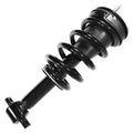 SHOCKS & STRUTS