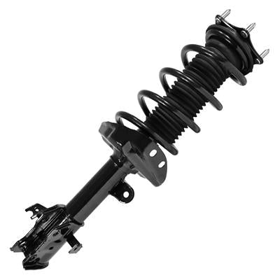 SHOCKS & STRUTS