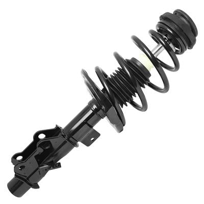 SHOCKS & STRUTS